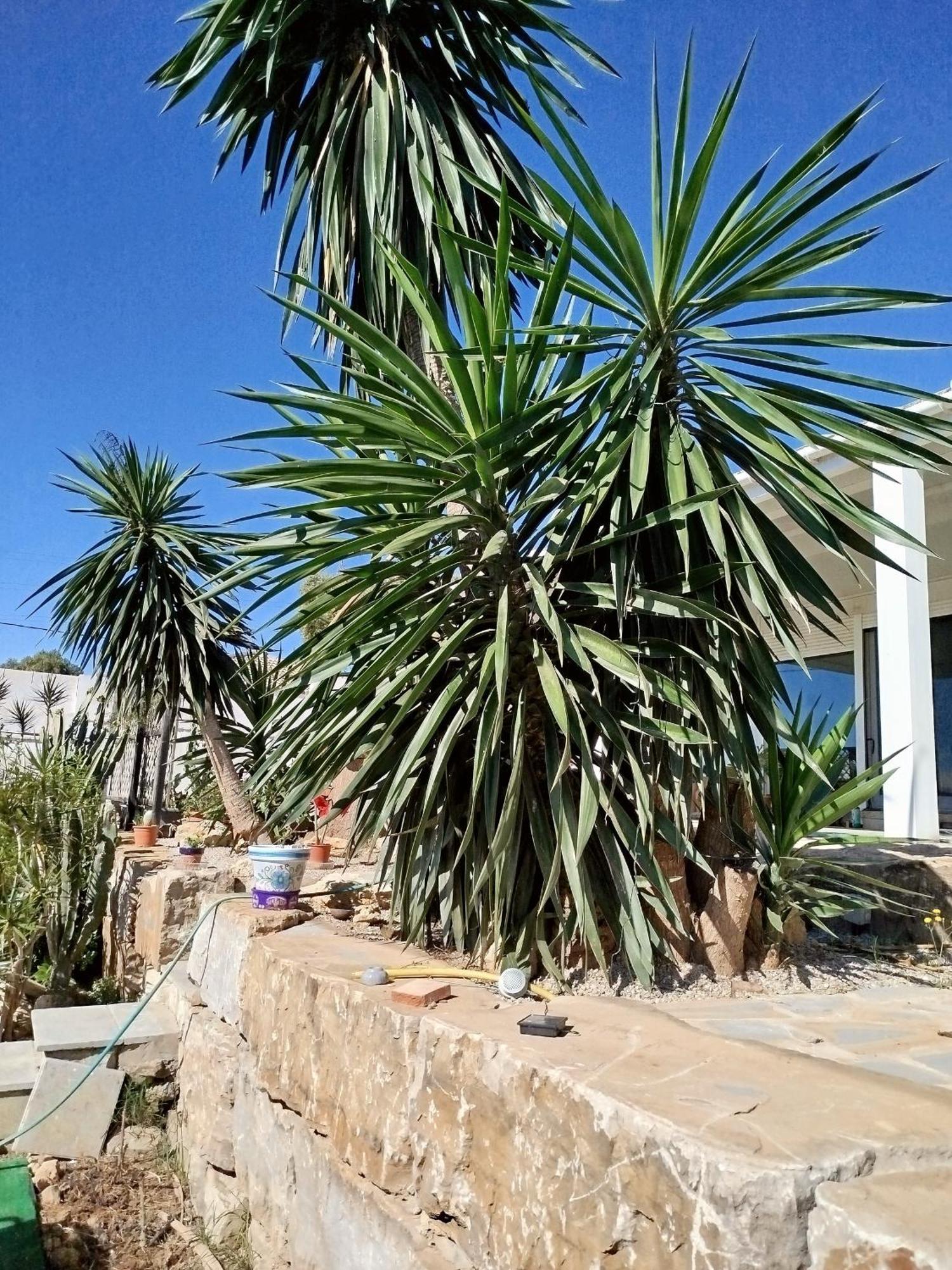 San Roque Countryside Annex Apartment Exterior photo